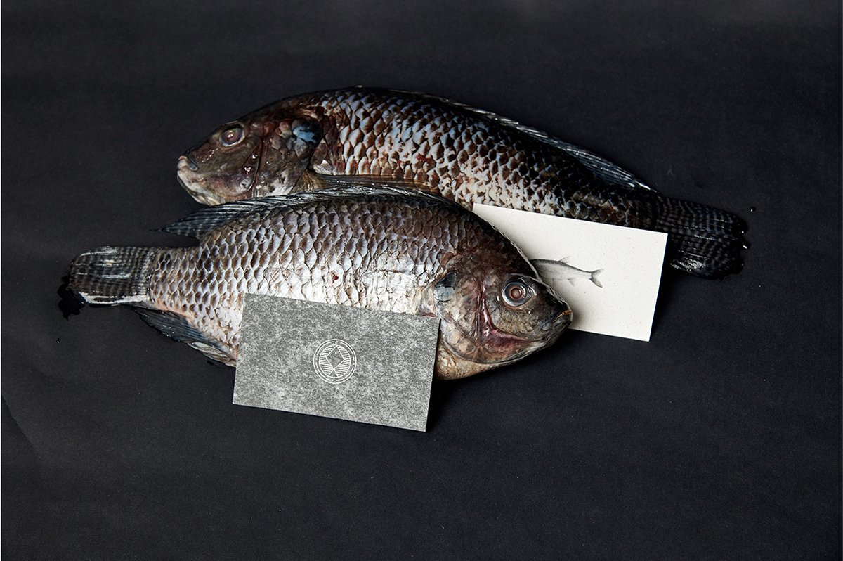 De Mar a Tierra海鮮餐廳品牌形象設計欣賞，品牌設計，品牌策劃，深圳品牌設計，深圳品牌策劃，餐飲品牌設計，餐飲品牌策劃，左右格局