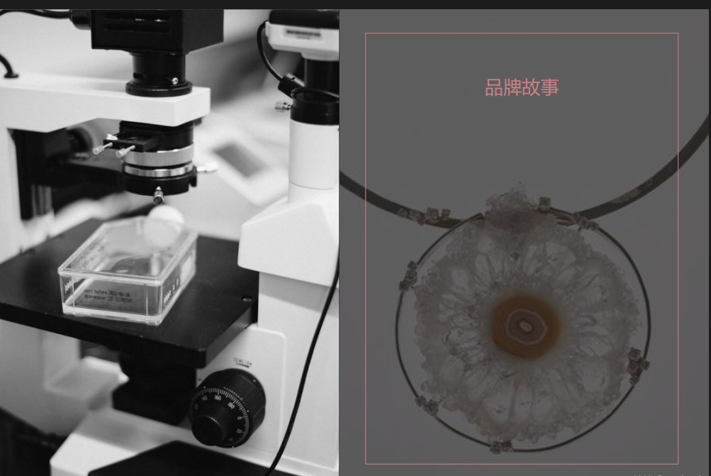 Vsense如何成為目標客戶的意見領袖
