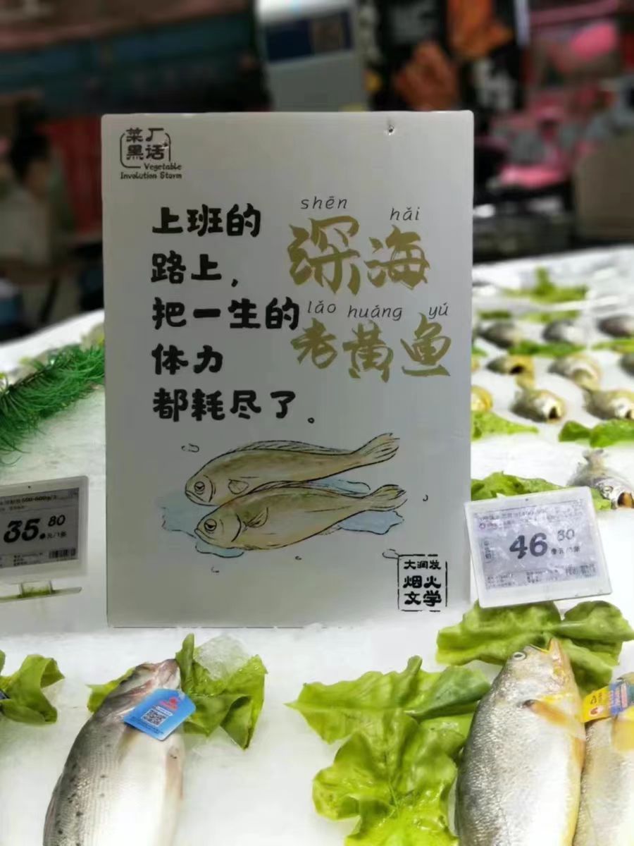 深海老黃魚內容營銷